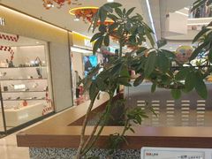 -野人先生Gelato(上海长宁龙之梦店)