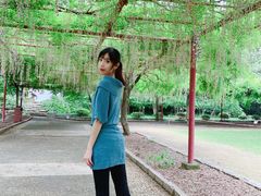 -嘉定紫藤园