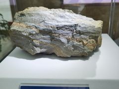 -湖南省地质博物馆