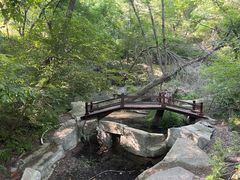-大青沟风景区