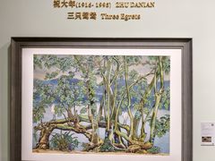 -凤凰中心
