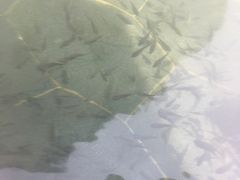 -苏州湾王焰温泉度假酒店