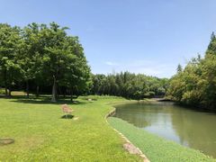 -上海佘山世茂艾美酒店