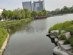 -西海子公园