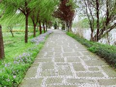 -长兴太湖图影湿地文化园
