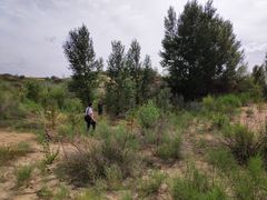 -恩格贝生态旅游区