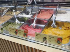-VENCHI 闻绮(上海佛罗伦萨小镇店)