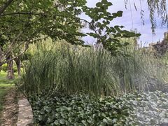 -木塔寺遗址生态公园