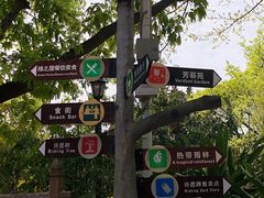 -青青世界