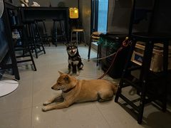 -柚下次·关东煮