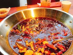 -红牌美蛙鱼头火锅(万辉国际广场店)