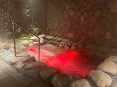 -漢頓温泉度假酒店