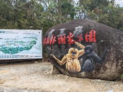 -海南霸王岭国家森林公园