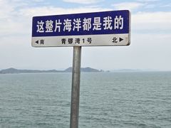 -杨梅坑