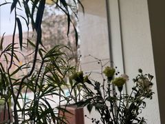 -小满Grainkitchen(滨江商业广场店)