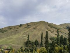-新疆那拉提国家旅游度假区