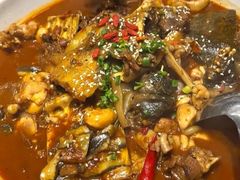 -甲鱼张甲鱼铺子(观沙岭店)