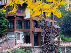 -成都市活水公园