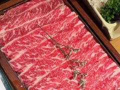 -季季山·云南野生菌火锅(上海首店)