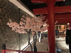 -蓝鲸湾汤泉(包河店)