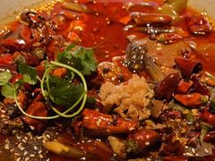 -辛香汇·现炒川菜(淮海路百盛店)