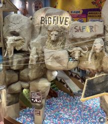 -卡通尼·Safari非洲探索乐园·生日会(金桥国际商业广场店)