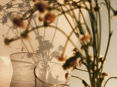 -五进制 Coffee Shop