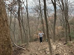 -紫金山天文台