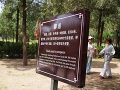-中岳庙