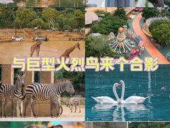 -杭州野生动物世界