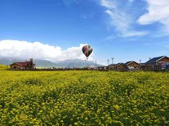 -阿法柯柴火鸡羊肉面片馆