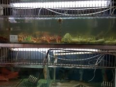 -雅憩花园餐厅