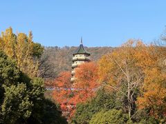 -灵谷景区
