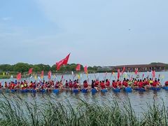 -上海都市菜园