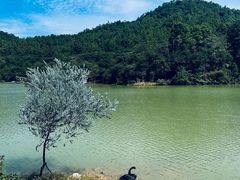 -广州白江湖森林公园