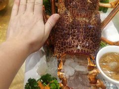 -梦都海鲜酒家(万达广场江桥店)