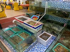 水产区-明记海鲜大排档(巽寮湾店)
