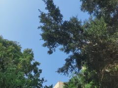 -海南热带海洋学院(三亚校区)