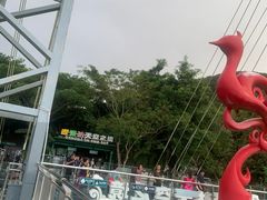 -呀诺达热带雨林