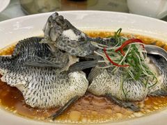 -骏莱海鲜鱼港(五角场店)