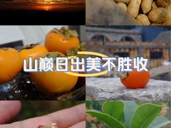-汝州市汝瓷博物馆