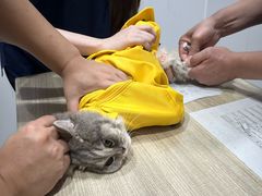 -荔康动物医院(康王北路店)