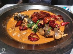 段氏绝味鱼头-柿合缘新京菜(国金中心商场店)