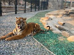 -北京野生动物园