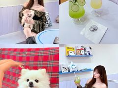 -汪说·狗咖·拼豆·宠物周边DIY(旺城大厦店)