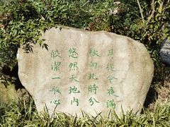 -合肥滨湖国家森林公园