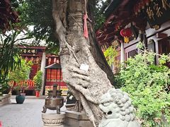 -叩齿古寺