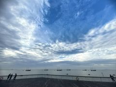 -贡湖湾湿地公园