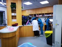 -联合动物医院(光谷诊疗中心)
