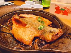 -九毛九西北菜(大东海店)